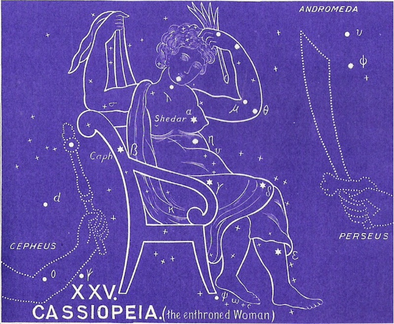 Cassiopea tied to a chair
